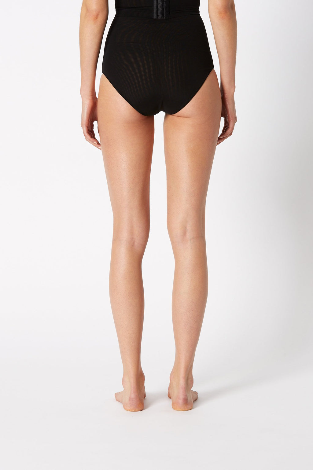 MESH BRIEF
