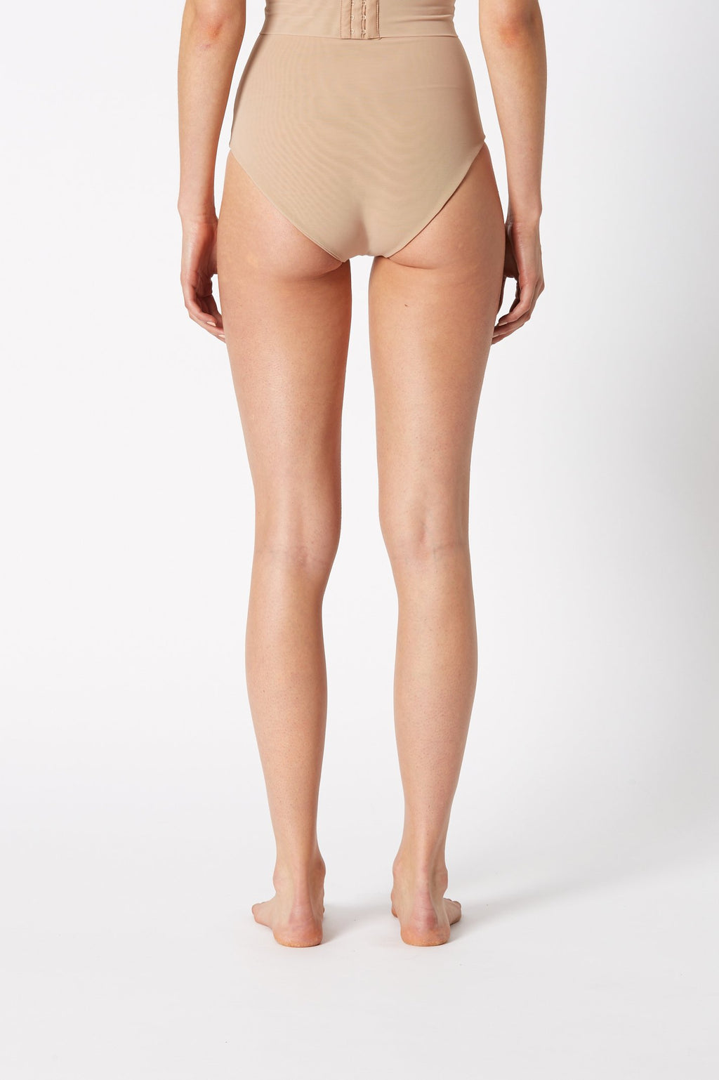 MESH BRIEF