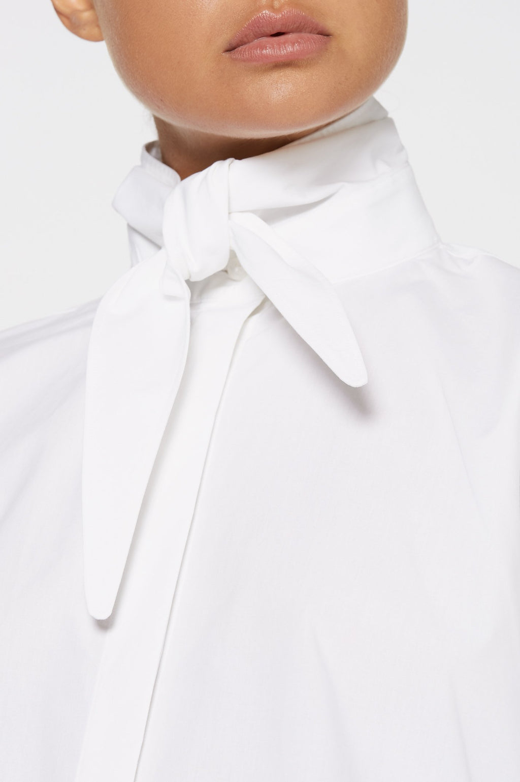 TAILORED CRAVAT SHIRT