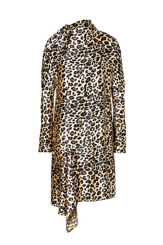 ANIMAL PRINT DRESS
